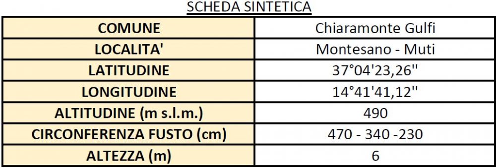 SCHEDA SINTETICA
